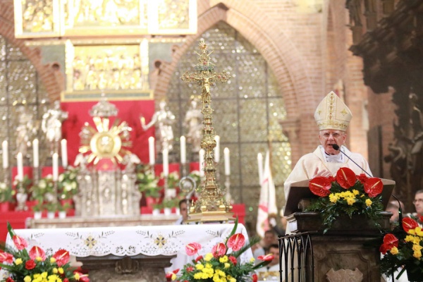 arcybiskup jędraszewski w katedrze we wrocławiu